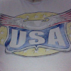 Little D Proud American Avatar